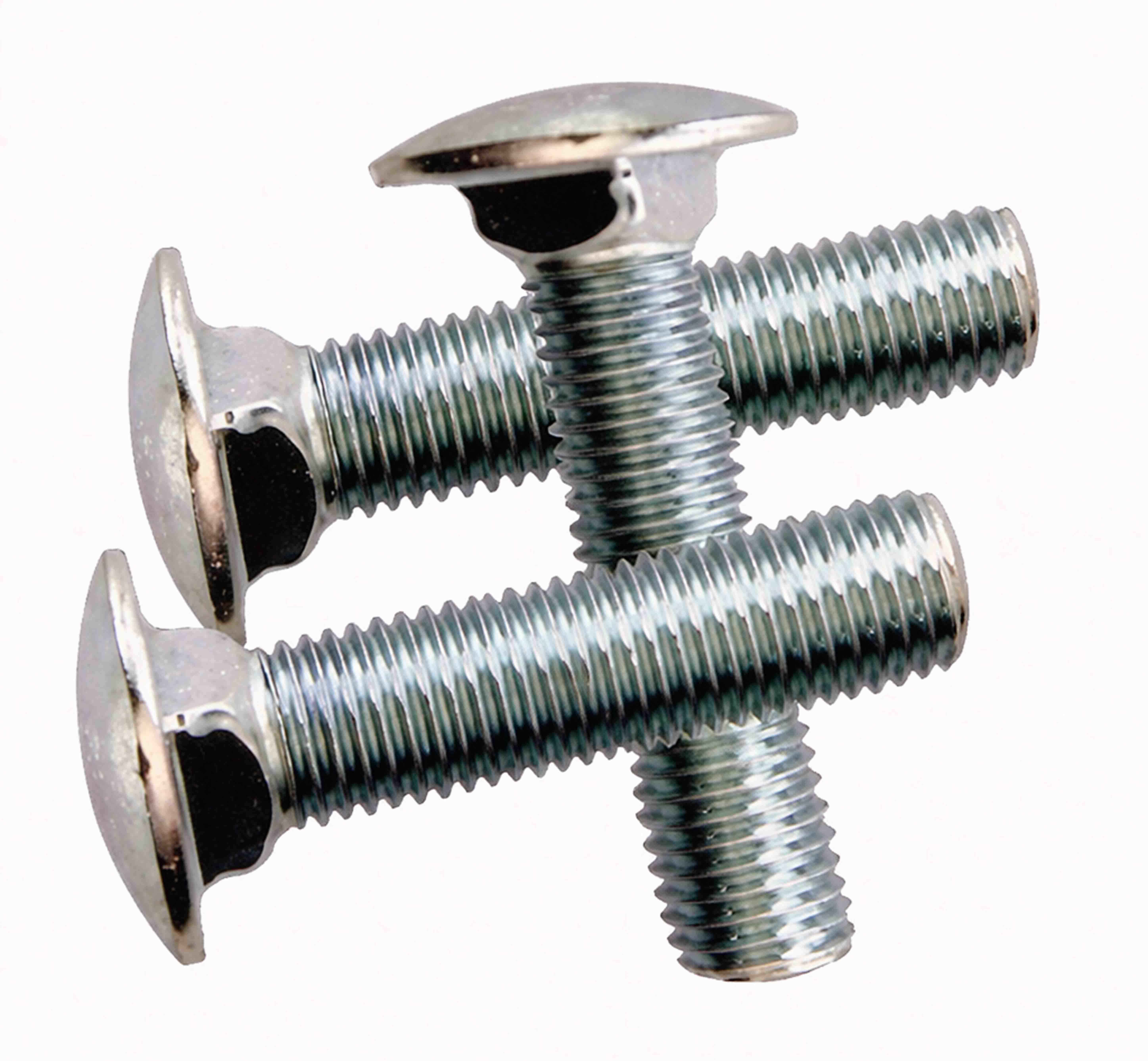 Carriage Bolt